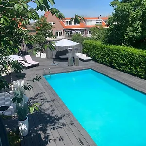 Finch , Zandvoort Nederland